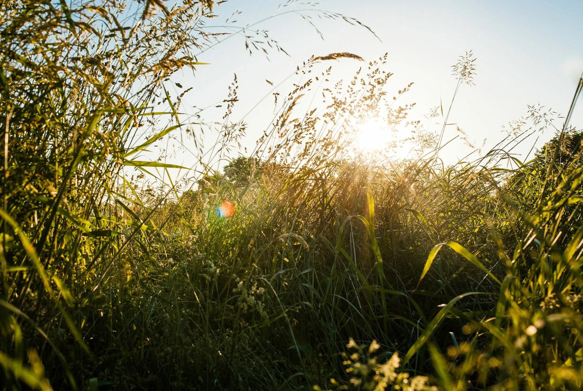 Everything-You-Need-to-Avoid-Ticks-This-Summer-gear-patrol-lead-full