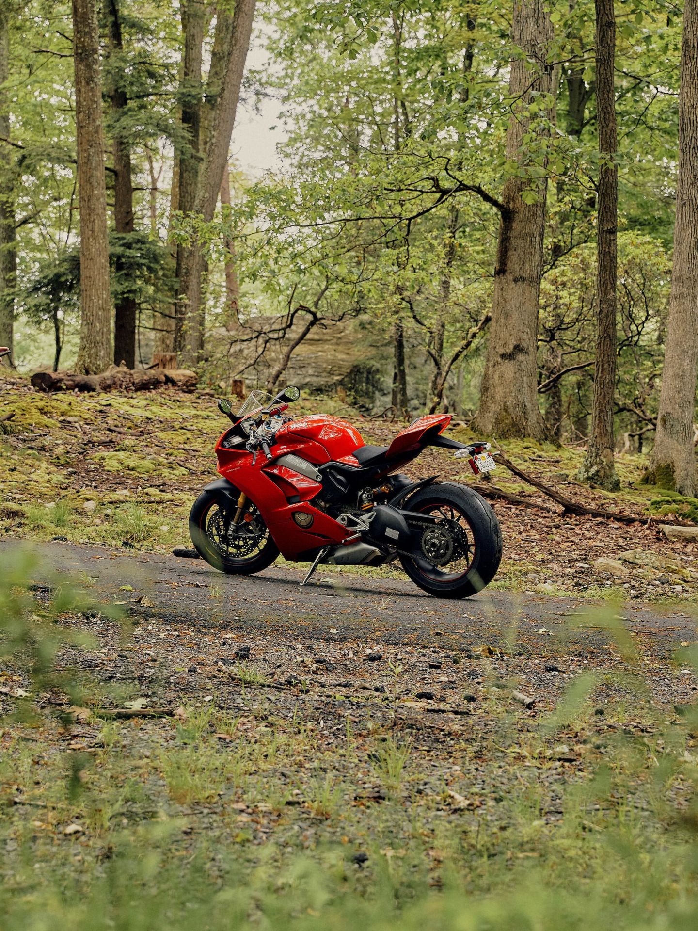 Ducati-Panigale-V4-Gear-Patrol-ambience-5