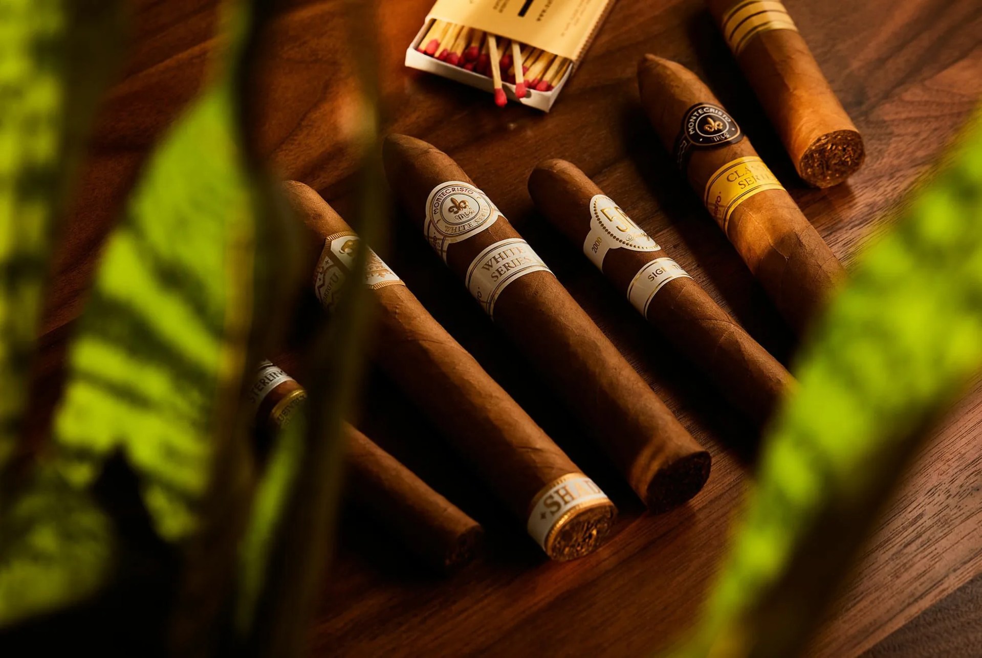 Intro-to-Cigars-gear-patrol-full-lead-2