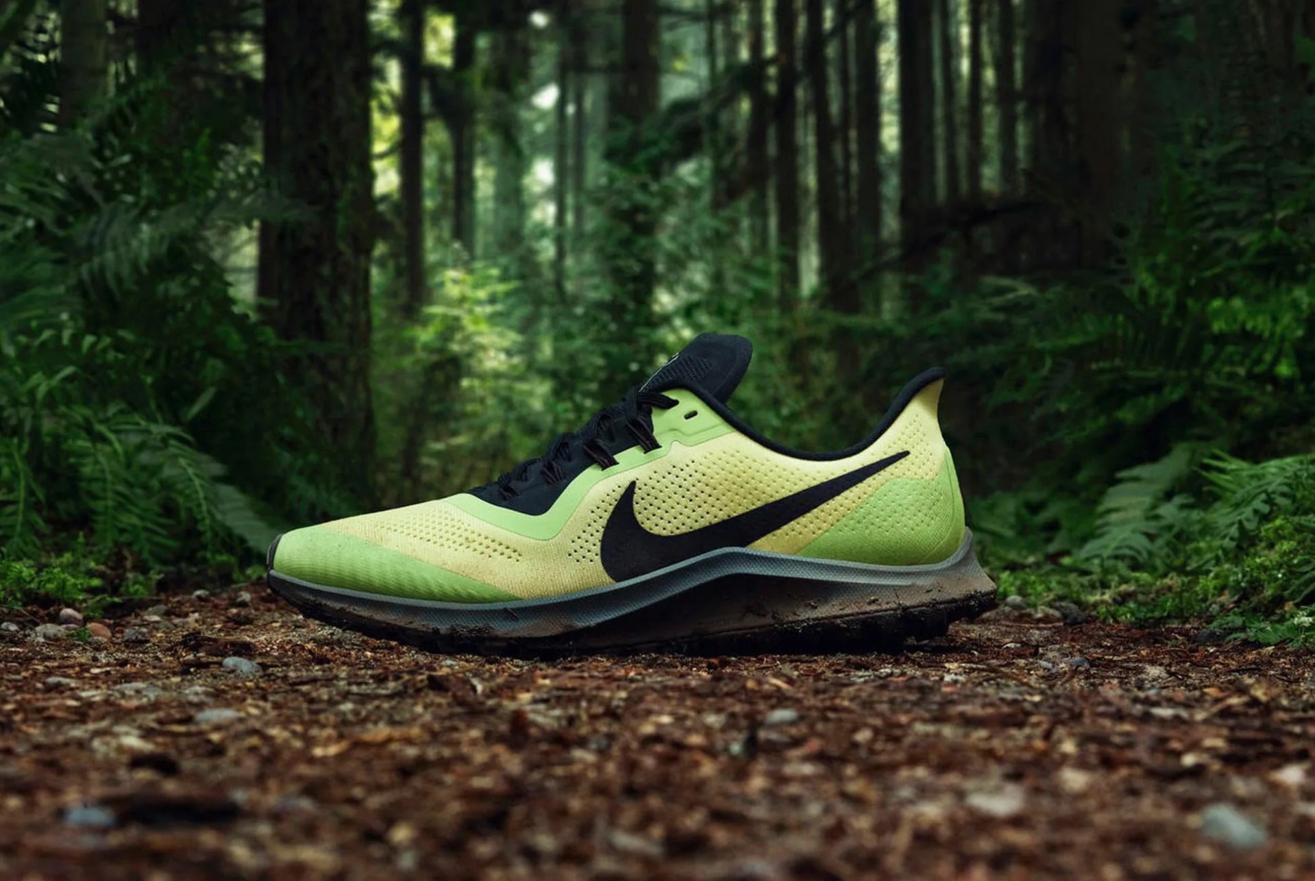 The-Best-Mens-Walking-Shoes-of-2019-gear-patrol-lead-full