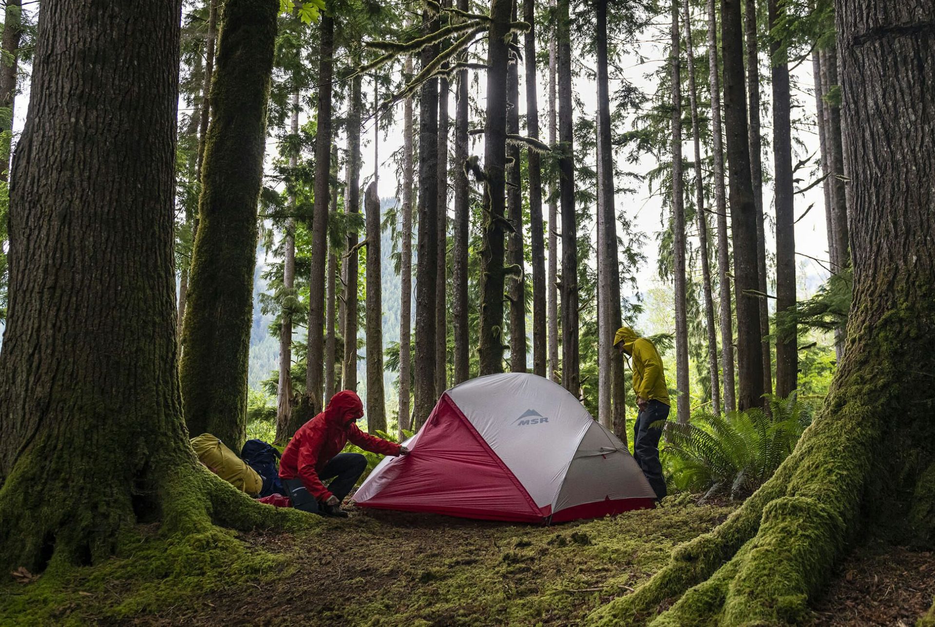6-Best-Backpacking-Tents-Gear-Patrol-lead-full