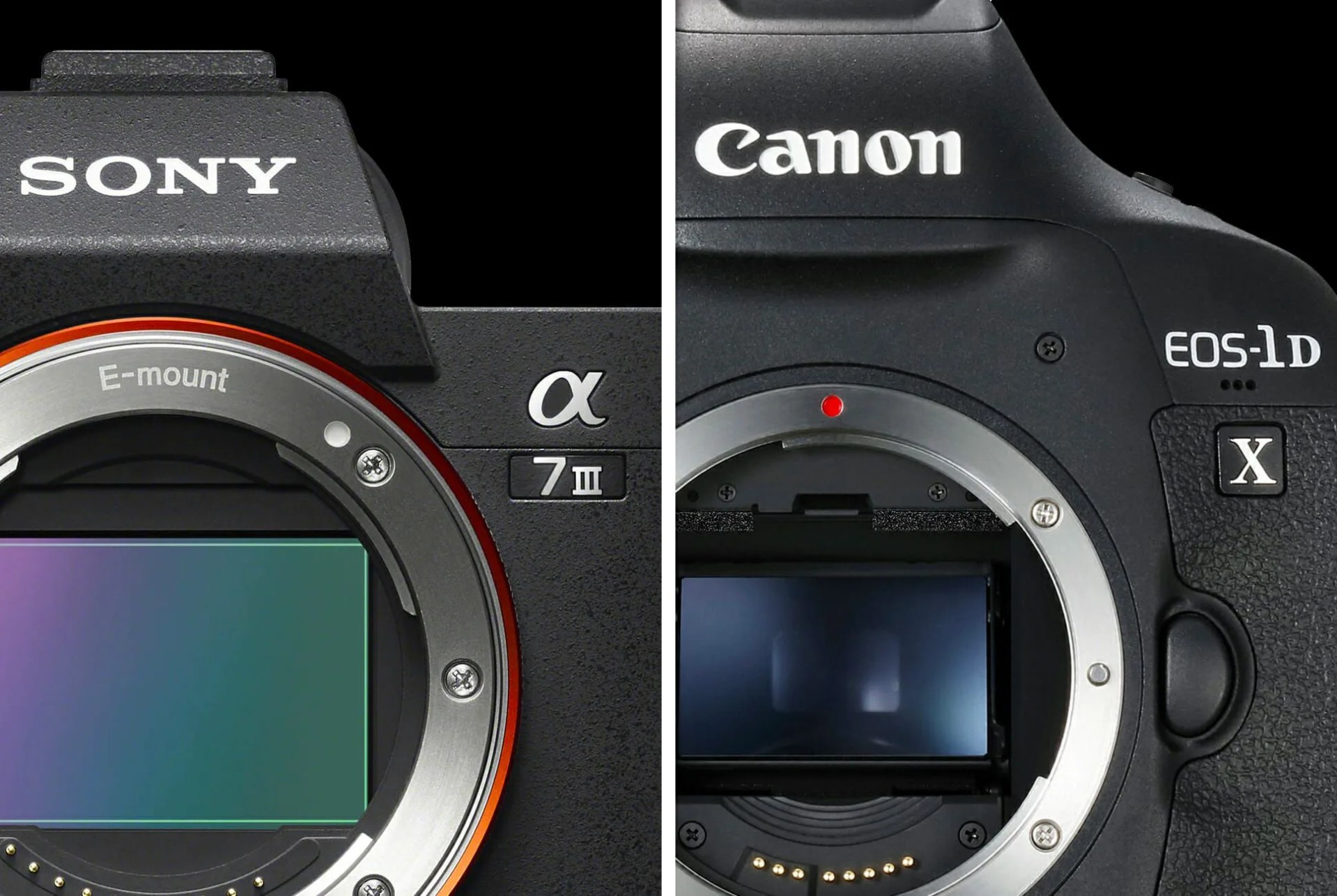 Mirrorless-vs-DSLR-gear-patrol-ambiance