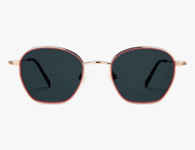 Warby-Parker-Larsen-Sunglasses-gear-patrol-lead-feature