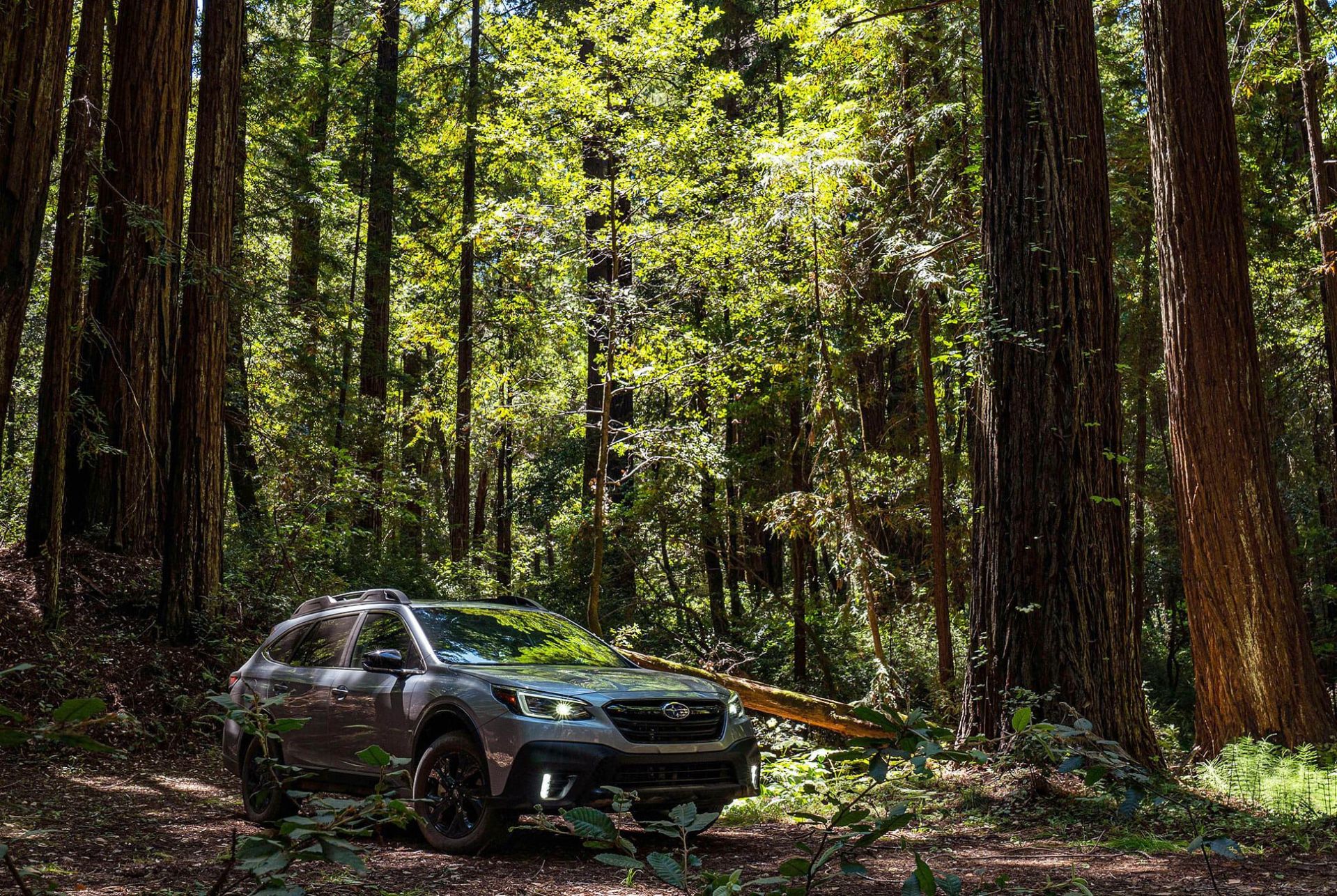 2020-Subaru-Outback-Review-gear-patrol-slide-1