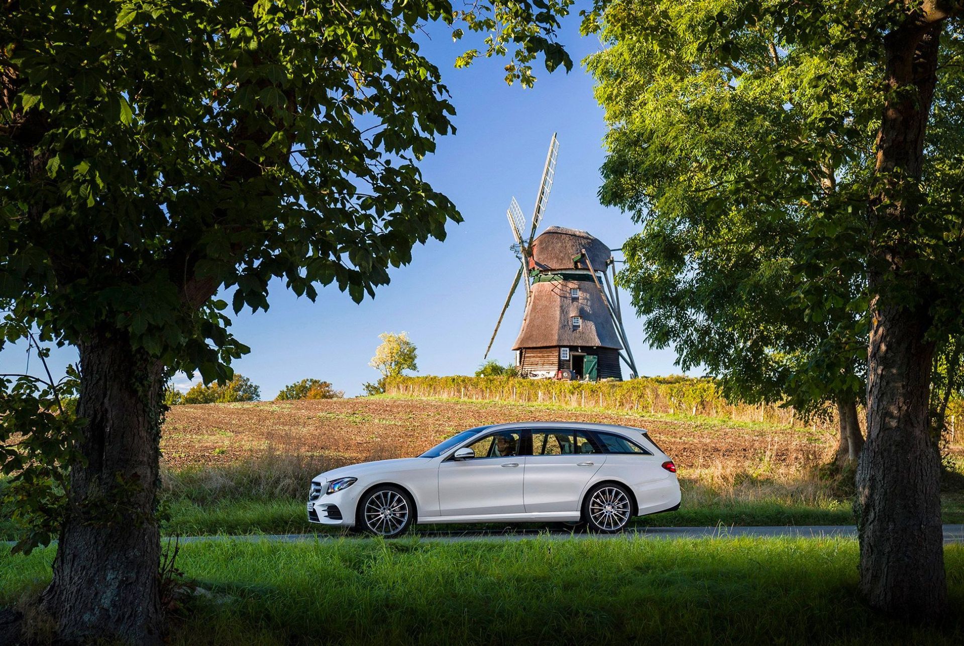 family cars