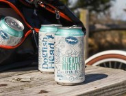 dogfish head beer