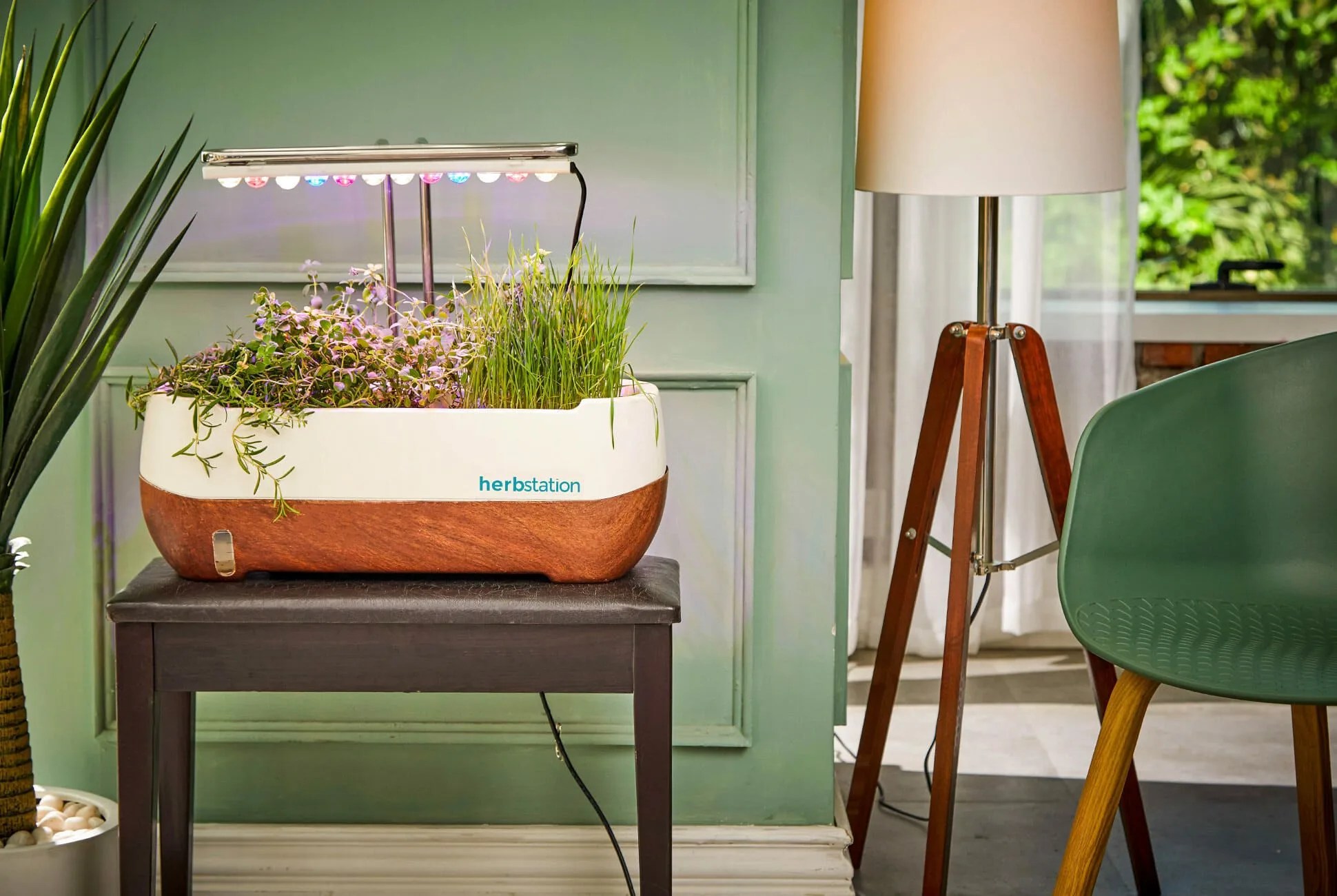 DON-AUG-02-Herbstation-gear-patrol-lead-full