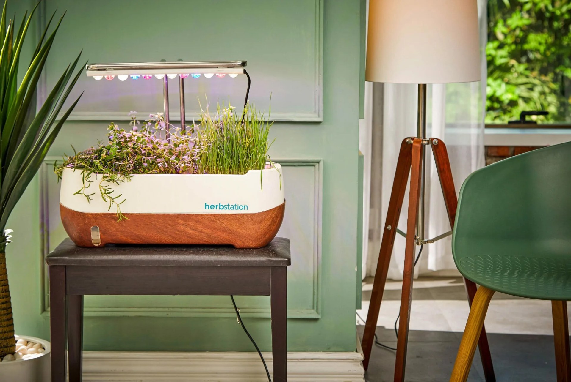 DON-AUG-02-Herbstation-gear-patrol-lead-full