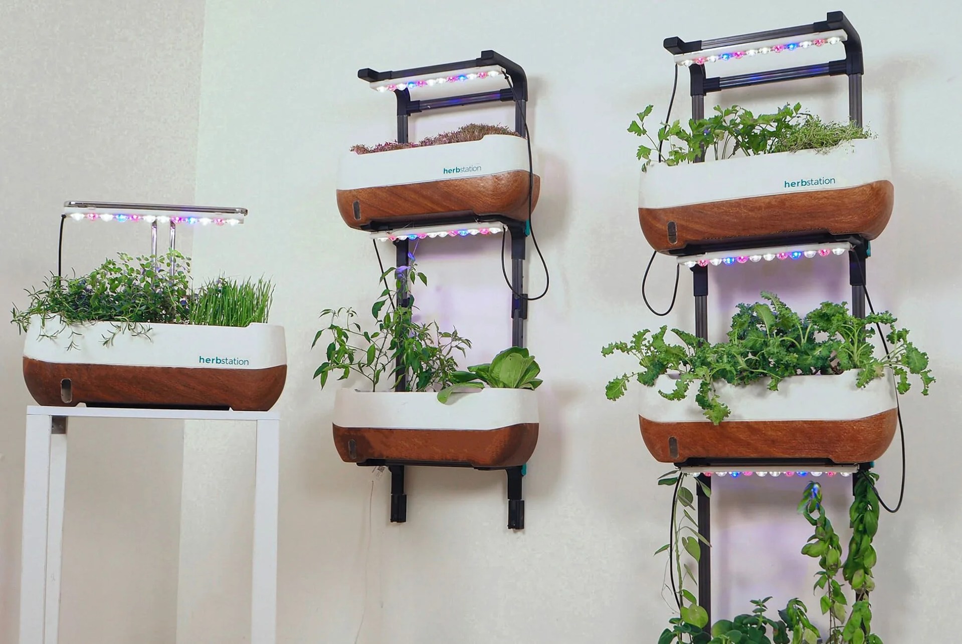 DON-AUG-02-Herbstation-gear-patrol-product