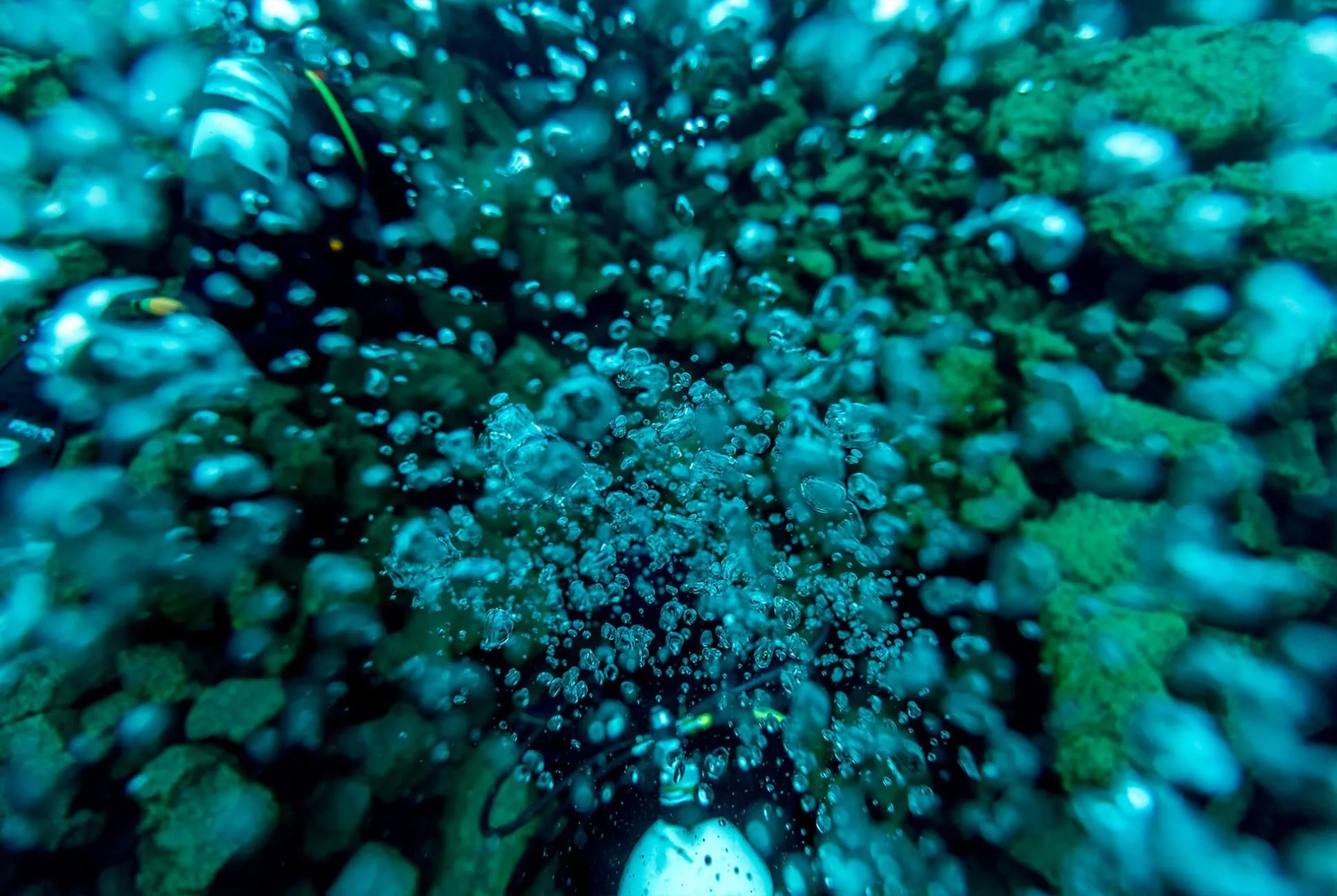 Iceland-May-Have-the-Most-Unique-Diving-in-the-World-Gear-Patrol-inline-14