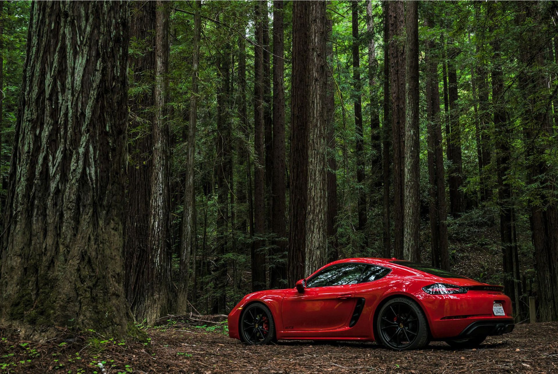 Porsche-Cayman-718-GTS-gear-patrol-slide-2