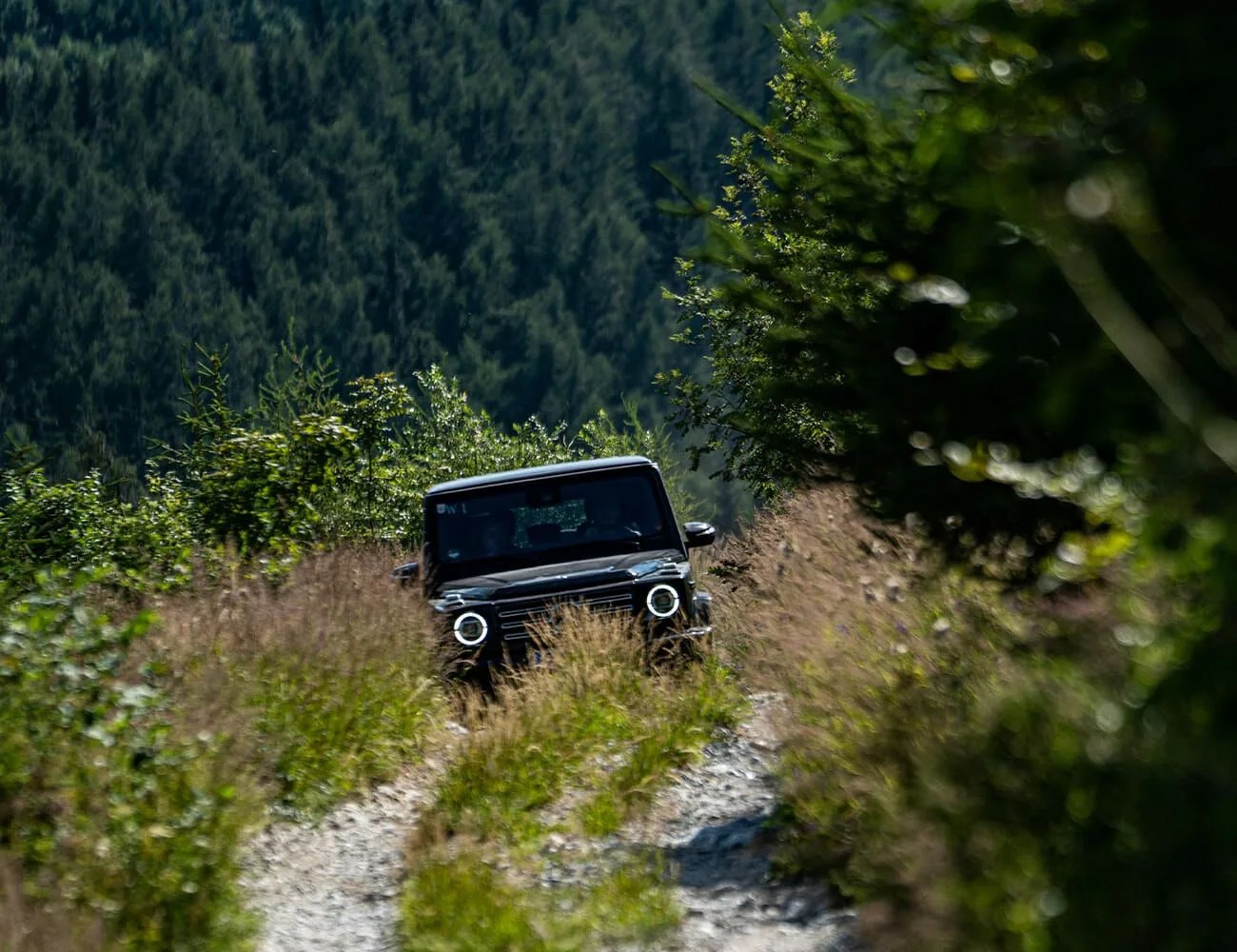 Testing-Mercedes-Benz-Toughest-Off-Roaders-gear-patrol-ambience-2