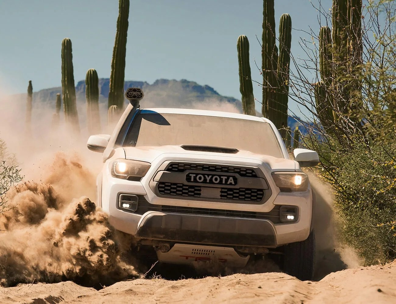 Best-Value-Award-Cars-gear-patrol-Toyota-Tacoma