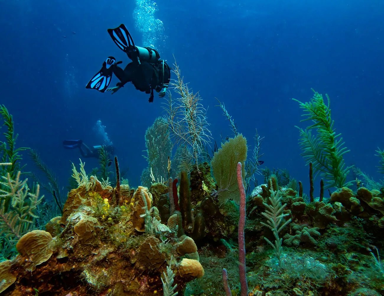 Diving-With-the-Bremont-S2000-gear-patrol-ambience-3
