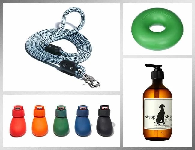 Best-Gifts-for-Dog-Owners-gear-patrol-lead-featured