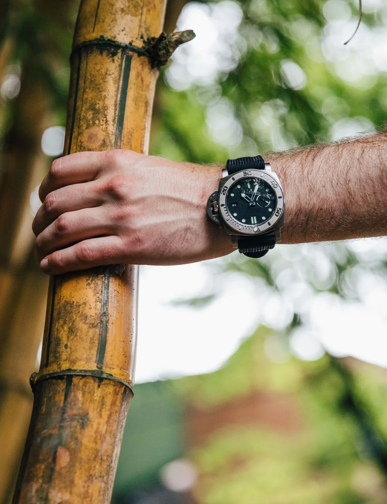 Panerai-Mike-Horn-Gear-Patrol-Ambiance-4