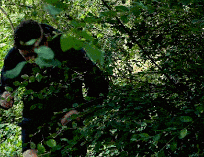 coalatree jacket gear patrol feature