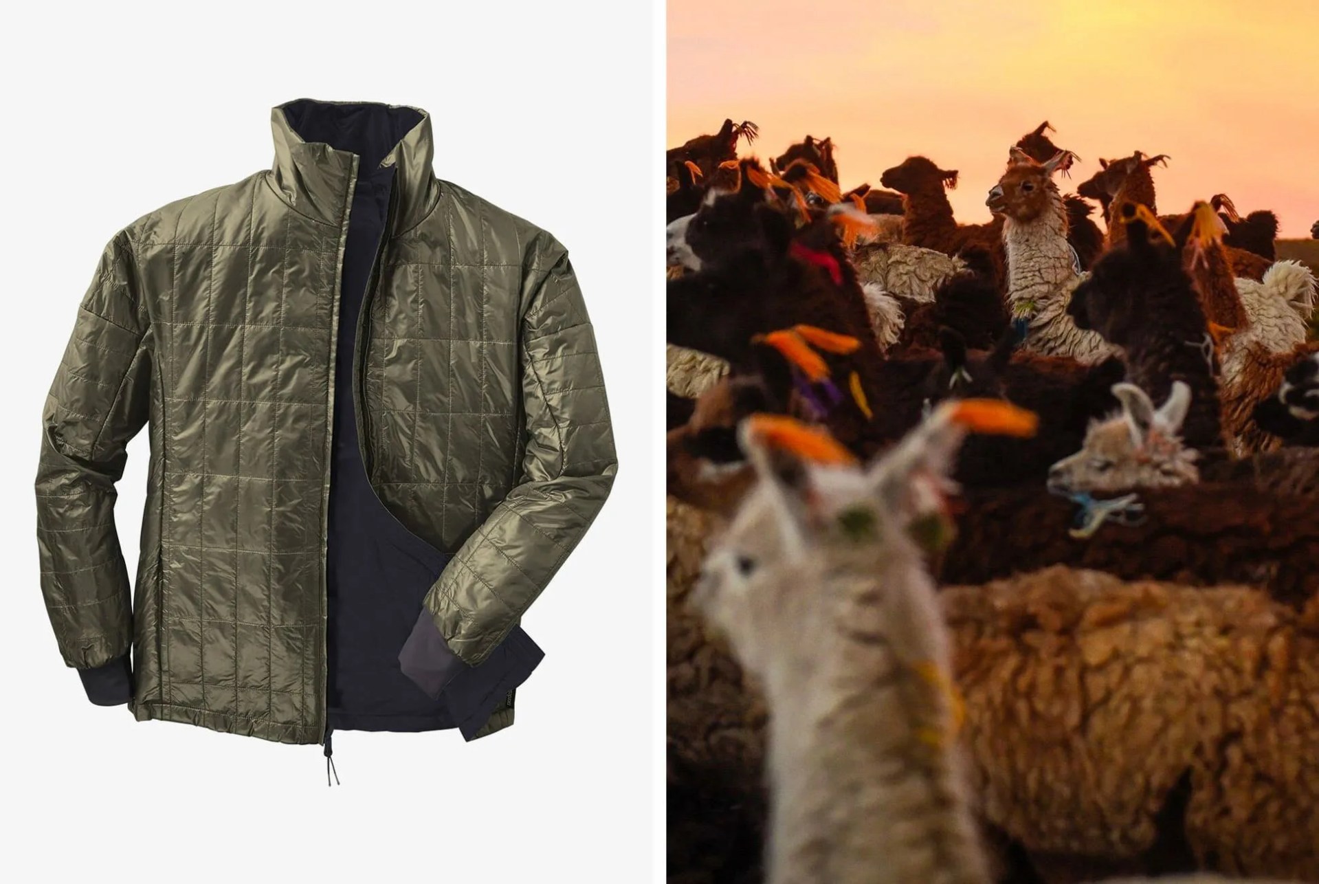 Alternative-Insulation-gear-patrol-Alpaca