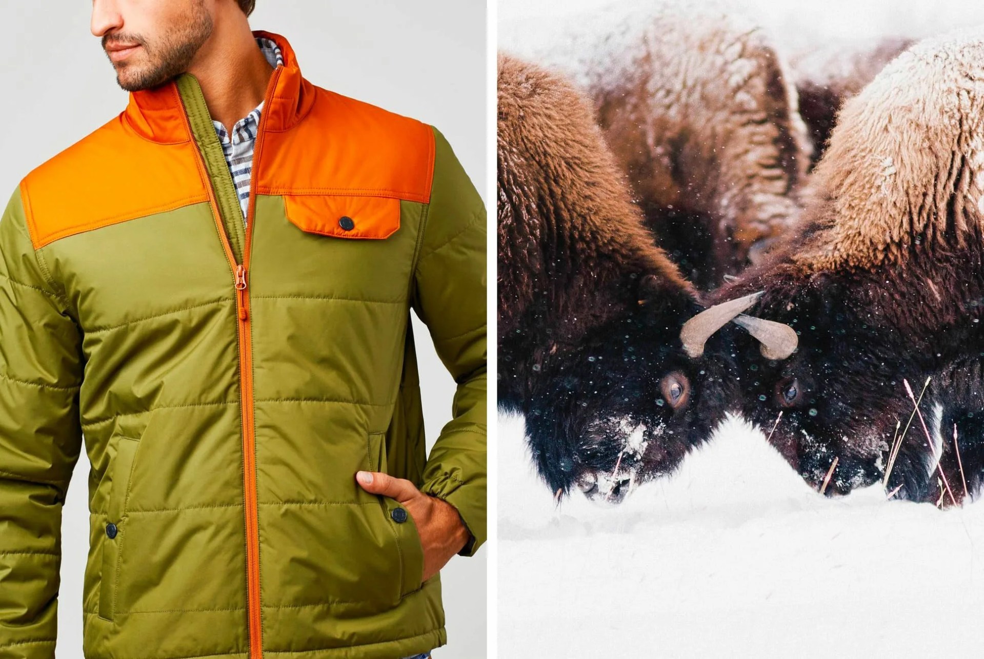 Alternative-Insulation-gear-patrol-Bison