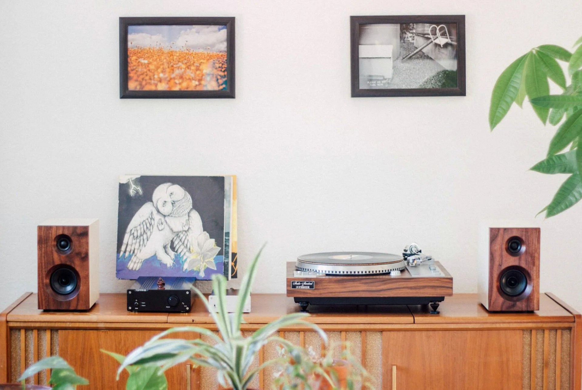 DIY-Speakers-that-You-Build-Yourself-gear-patrol-lead-full