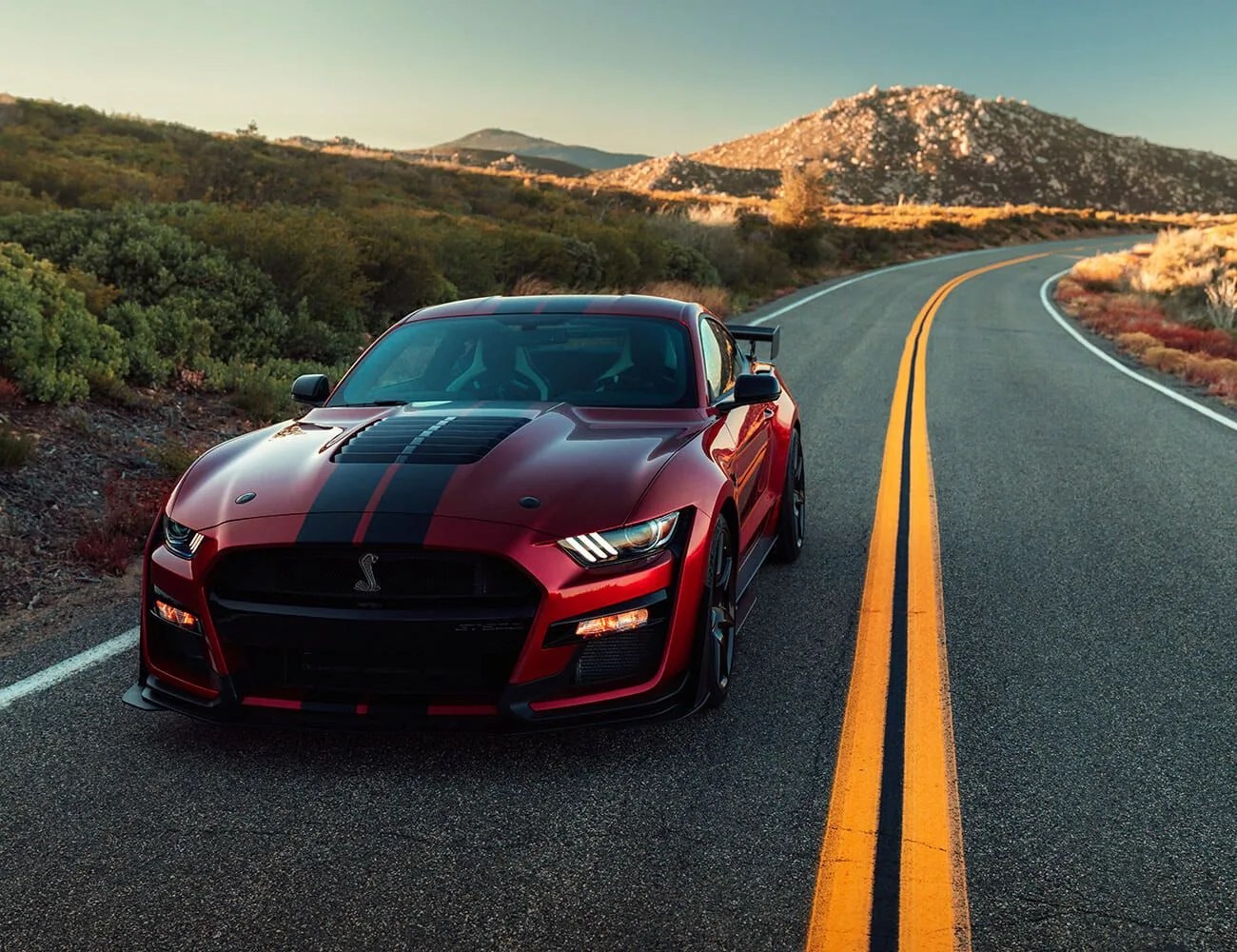 Ford-Shelby-GT500-gear-patrol