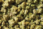 What-to-Ask-on-Your-First-Trip-to-a-Weed-Dispensary-Gear-Patrol-Lead-Full