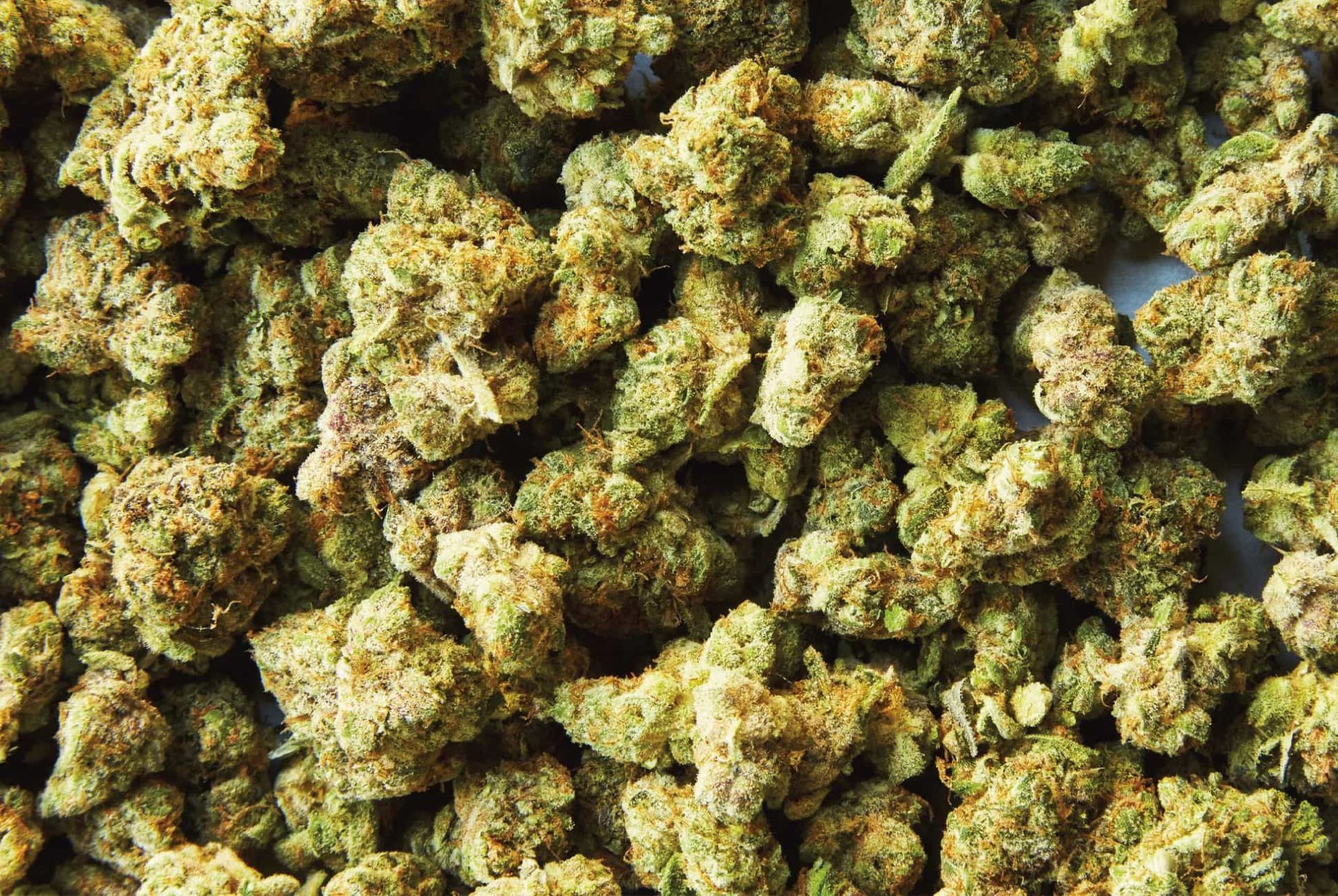 What-to-Ask-on-Your-First-Trip-to-a-Weed-Dispensary-Gear-Patrol-Lead-Full
