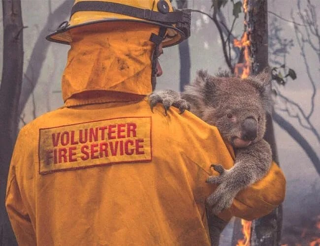 World-Watch-Auction-for-the-Australian-bushfires-gear-patrol-feature