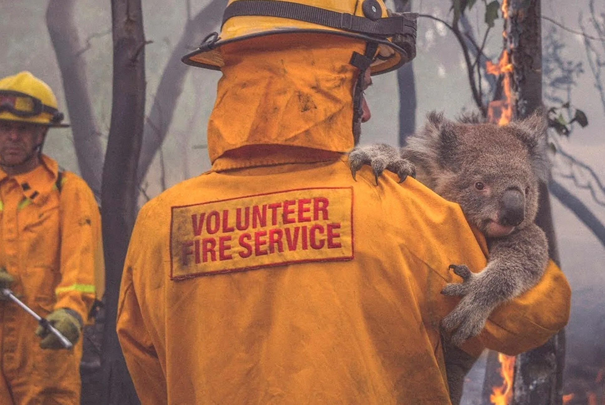 World-Watch-Auction-for-the-Australian-bushfires-gear-patrol-full-lead