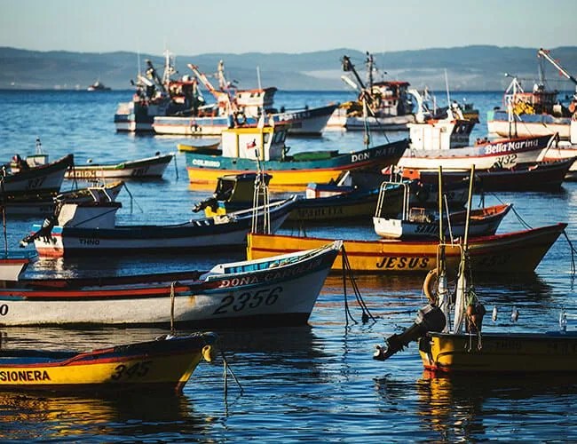Your-Flashy-New-Gear-Made-of-Fishing-Nets-Gear-Patrol-lead-featured