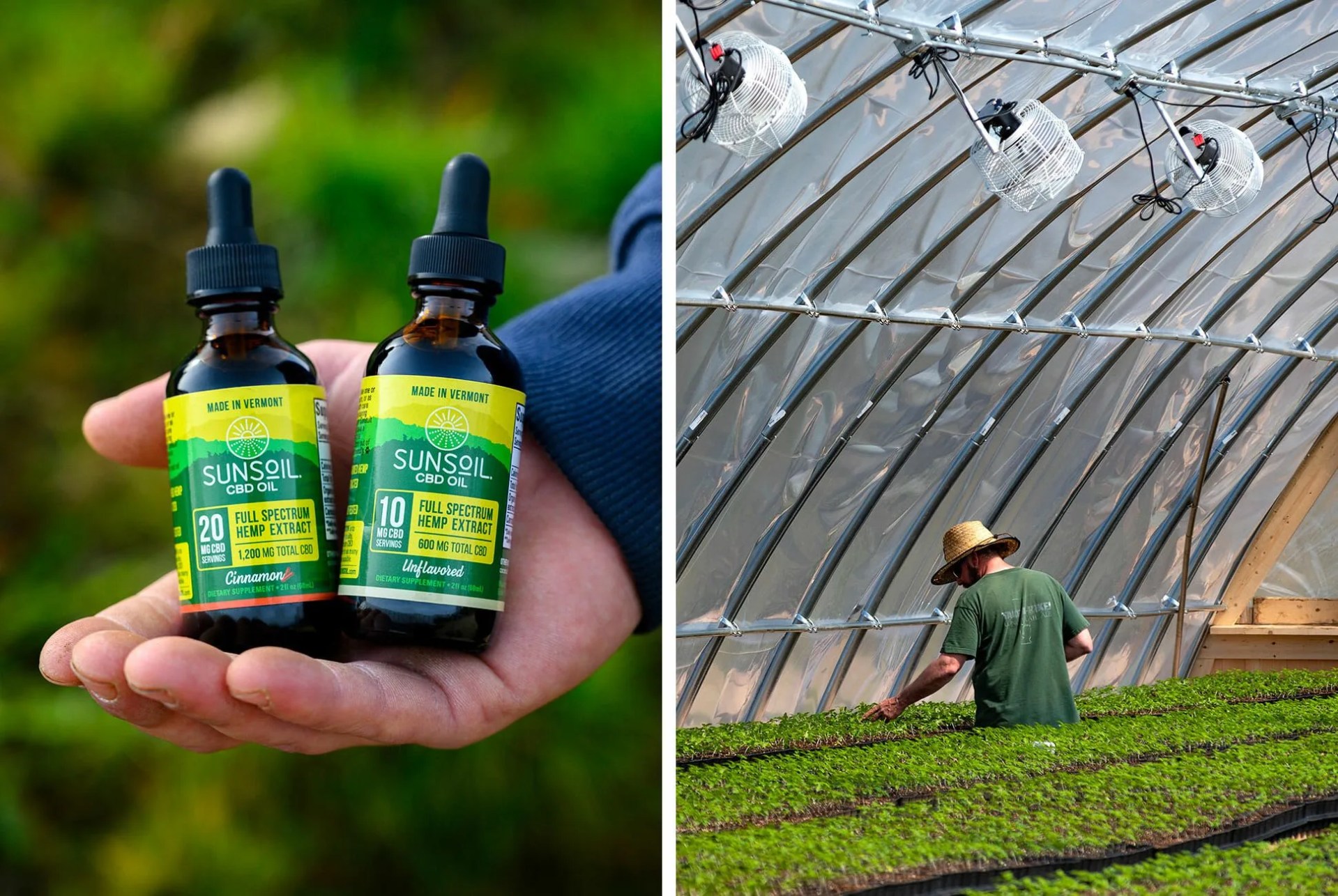 Sponsored-Product-Note-Sunsoil-CBD-gear-patrol-lead-full