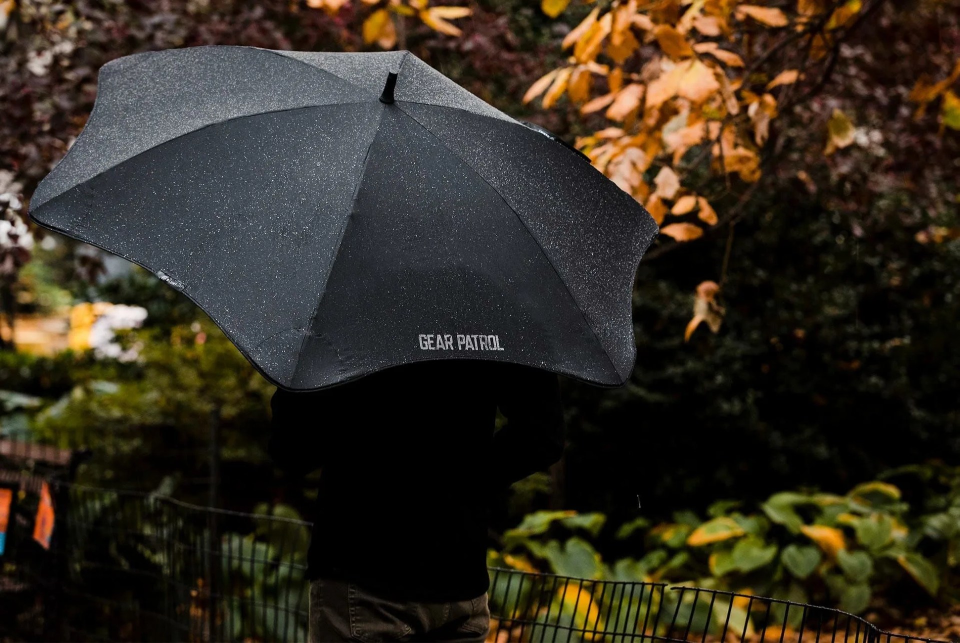 blunt umbrella