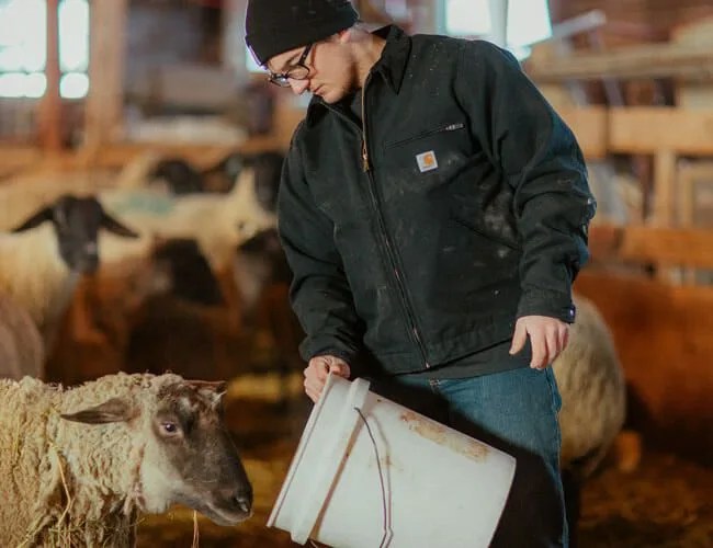 Carhartt-Detroit-Jacket-Is-A-Classic-gear-patrol-lead-feature
