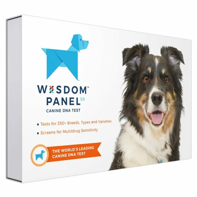 Deal-Roundup-4-21-gear-patrol-Wisdom-Panel