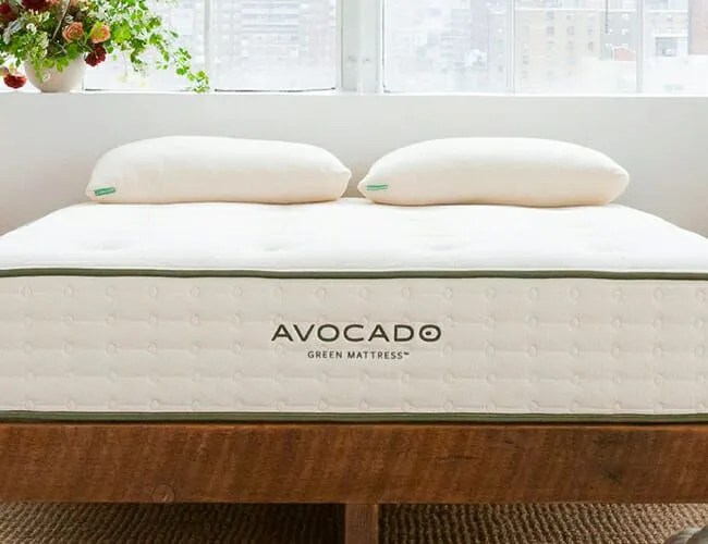 Home-Round-Up-gear-patrol-avocadp