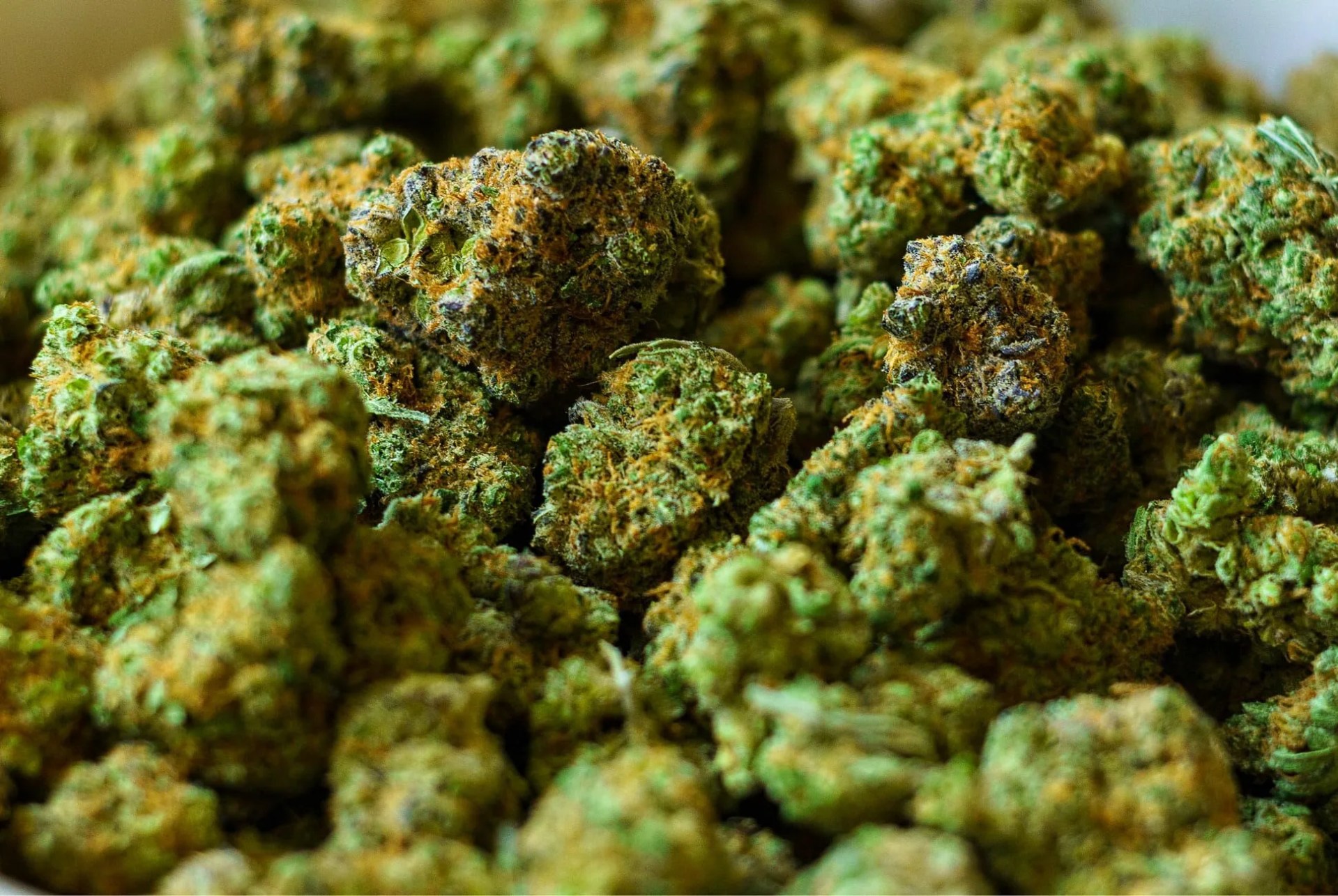 Weed-Terms-Gear-Patrol-Lead-Full