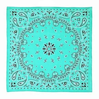 sunny-day-supplies-bandana