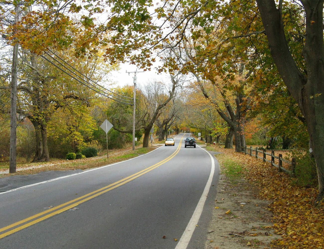 14-Great-Driving-Roads-gear-patrol-Old-Kings-Highway