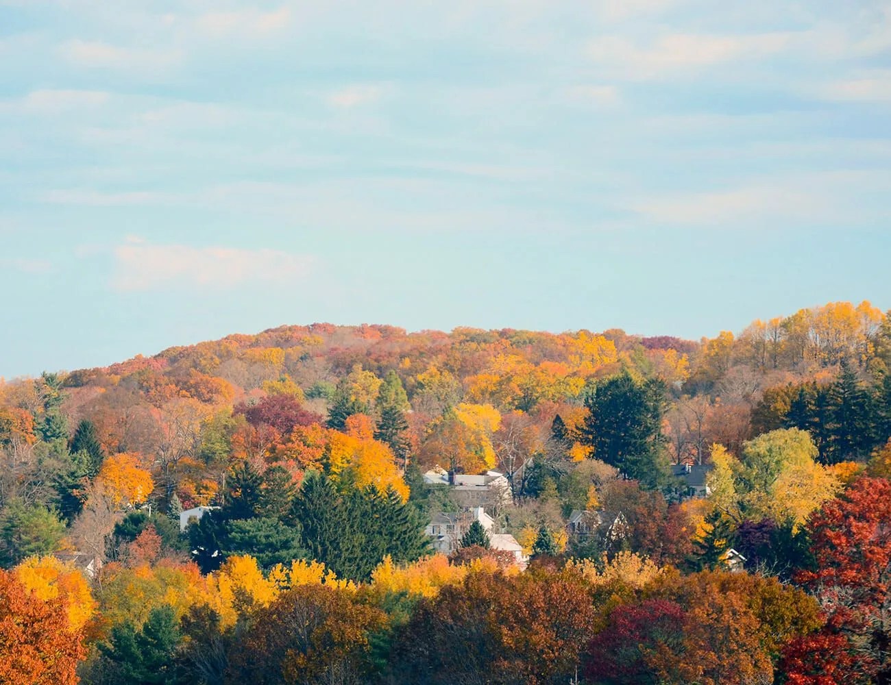 14-Great-Driving-Roads-gear-patrol-Taconic
