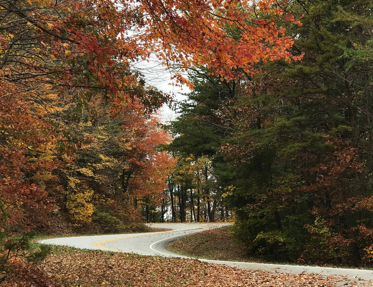 14-Great-Driving-Roads-gear-patrol-Tail-of-the-Dragon