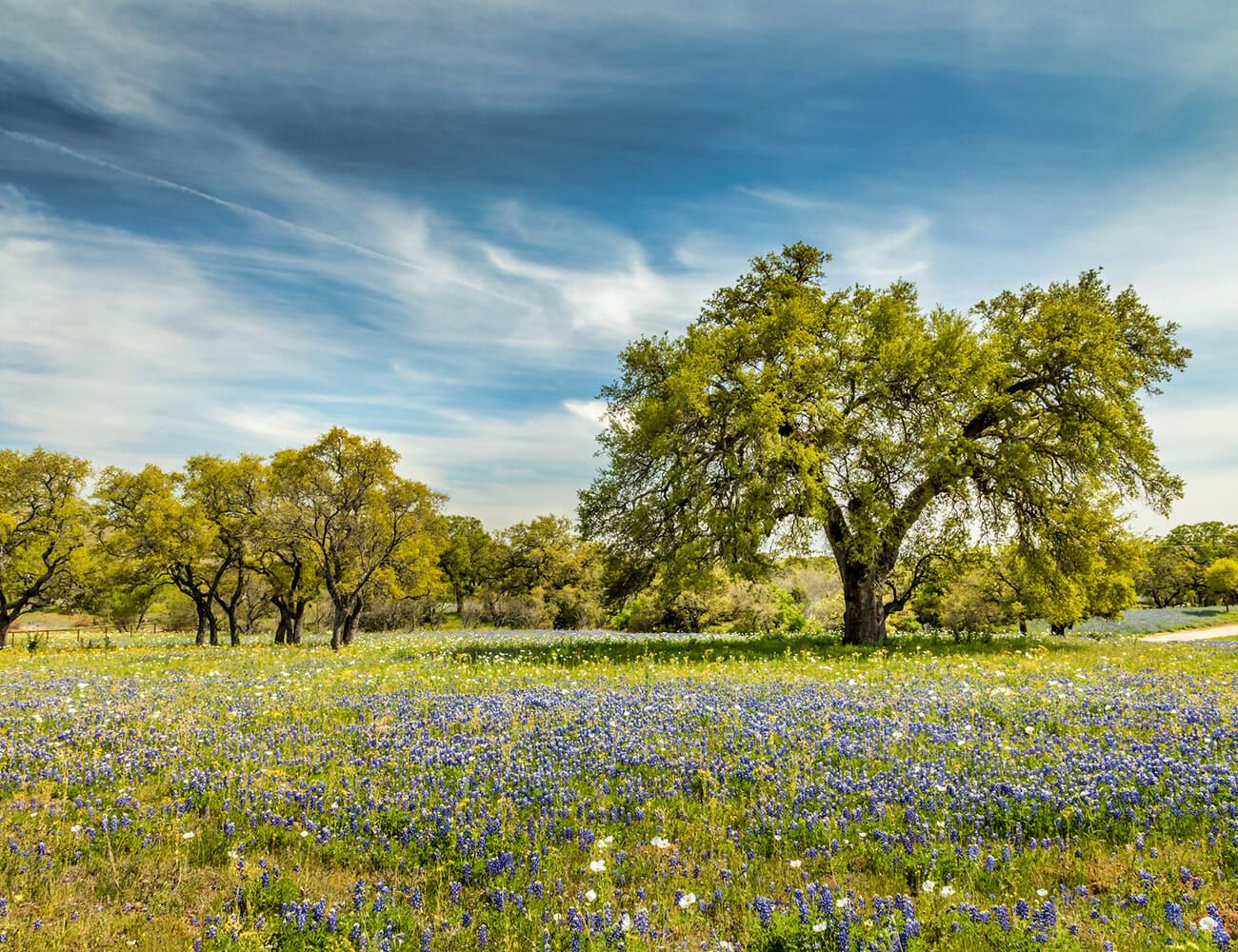 14-Great-Driving-Roads-gear-patrol-Texas-Triangle