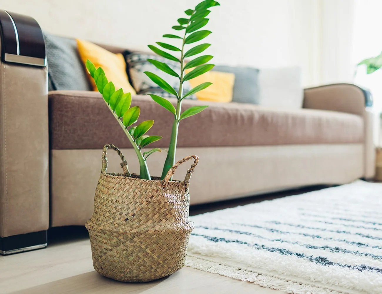 Home-Deals-Roundup-5-4-gear-patrol-Nature-Hills