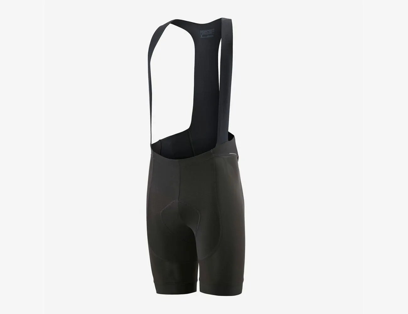 Patagonia-Roamer-Bibs-gear-patrol