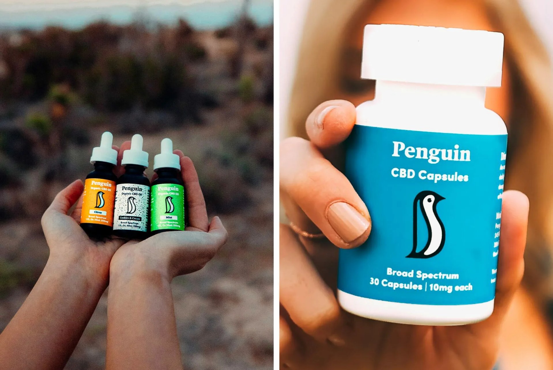 Sponsored-Product-Note-Penguin-CBD-gear-patrol-lead-full-V2