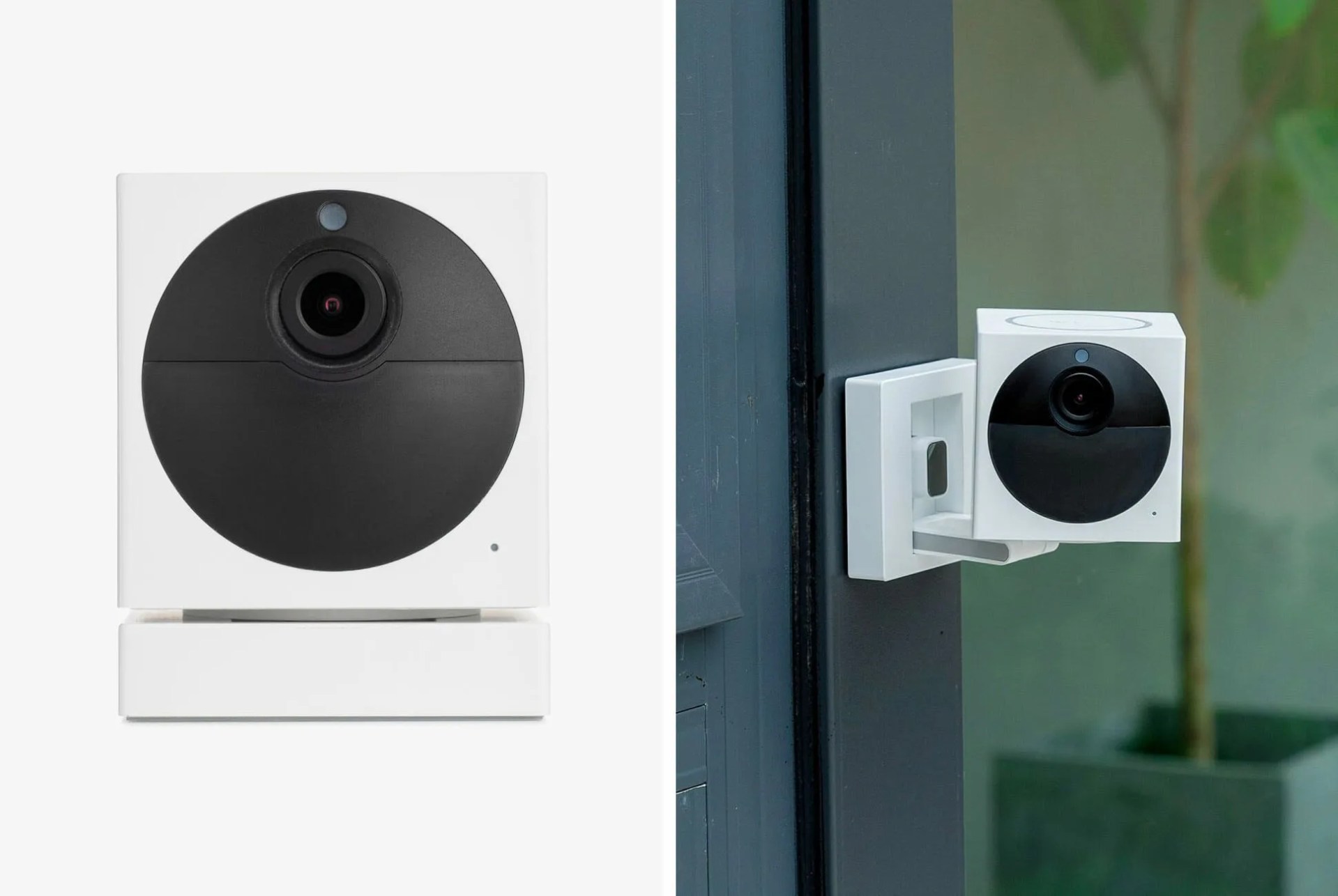 wyze security cam gear patrol lead full