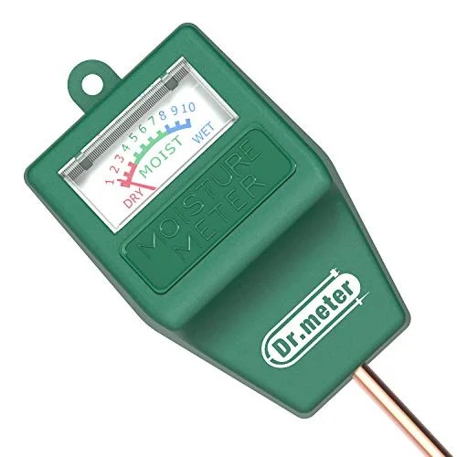 green display with white face