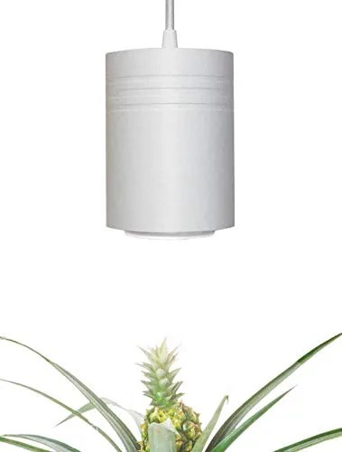 white overhead light