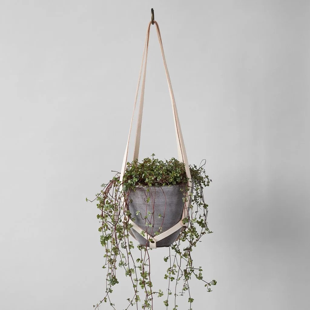 leather plant hanger