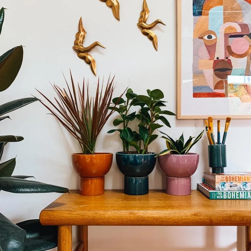 trio of colorful planters