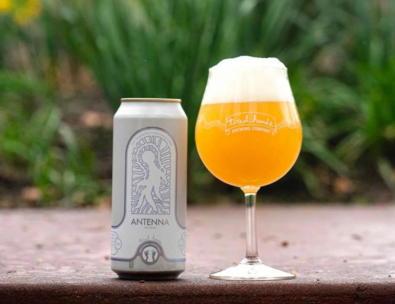 Fourth-of-July-Beers-gear-patrol-4